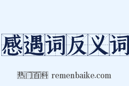 感遇词反义词是什么意思的图片